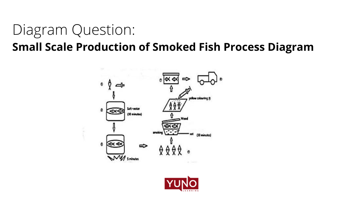 ielts essay smoked fish process